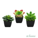 Luz & Levie Set of 3 Artificial Potted Plant
