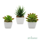 Luz & Levie Set of 3 Artificial Potted Plant