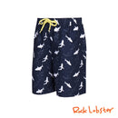 Under The Sea Swim Shorts