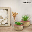 Pebbles for Vases - Garden Colored Stone Filler - Sunstreet