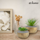 Pebbles for Vases - Garden Colored Stone Filler - Sunstreet