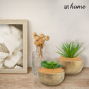 Pebbles for Vases - Garden Colored Stone Filler - Sunstreet