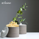 Square Pebbles for Vases - Sunstreet