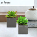 Set of 2 Lorelei Artificial Potted Plant