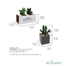 Set of 2 Lorelei Artificial Potted Plant