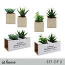 Set of 2 Lucia Artificial Potted Plant