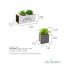 Set of 2 Lorelei Artificial Potted Plant