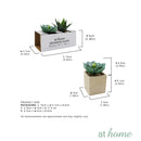 Set of 2 Lucia Artificial Potted Plant