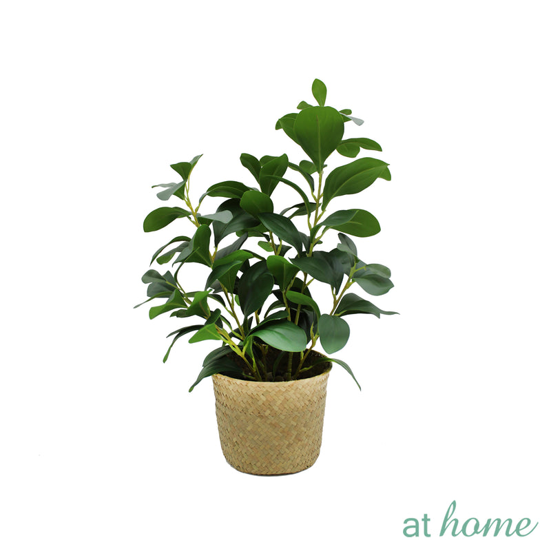 1pc Haya Artificial Potted Plant