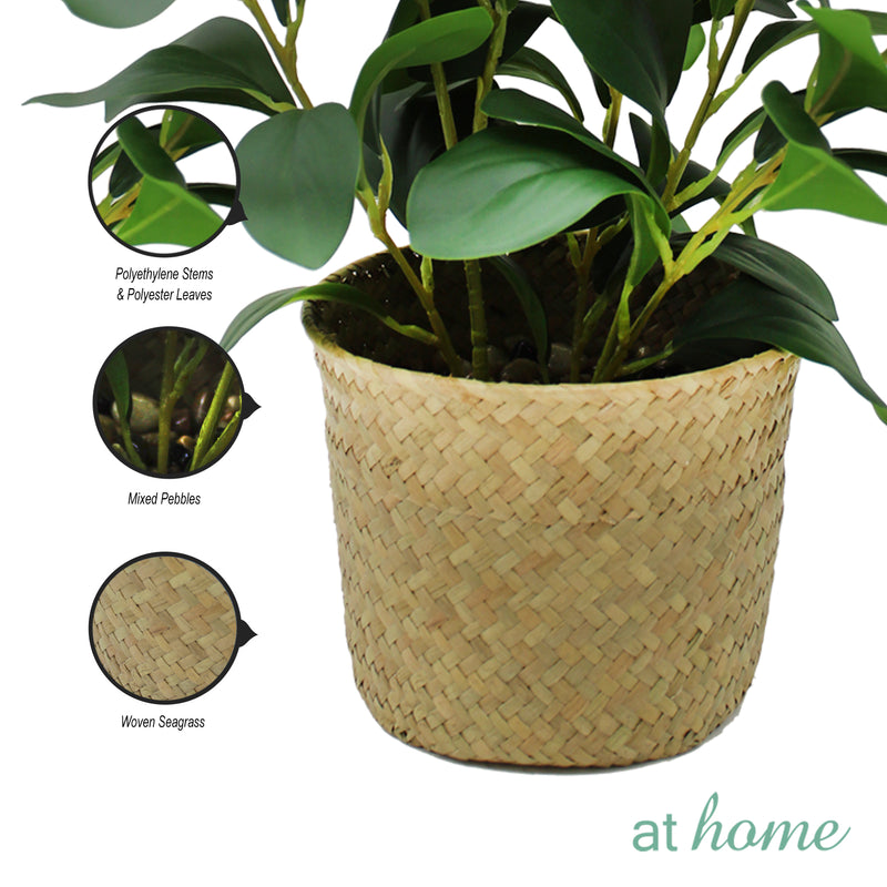 1pc Haya Artificial Potted Plant